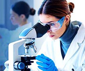 We undertake material investigations for our customers, which helps to resolve issues.