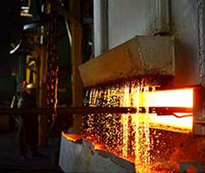 We will develop relationships with suppliers who are also striving to reduce their carbon impact.