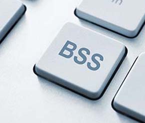 Bespoke Supply Solutions (BSS) are customised supply arrangements which will make your supply chain more efficient.