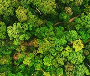 We take climate change seriously and believe we should play an active part in lowering carbon emissions.