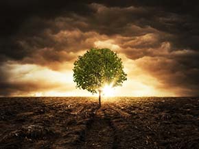 Wir arbeiten daran, unsere CO2-Emissionen zu reduzieren, und streben bis 2030 eine Netto-Null an.