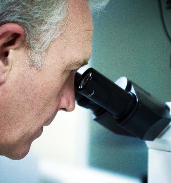 Conosciamo i prodotti e i mercati in cui vendiamo, il che si traduce in un eccellente supporto tecnico.