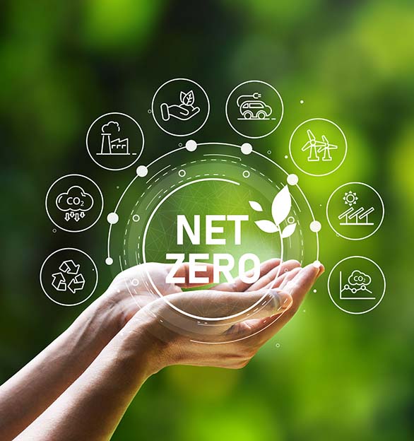 Il nostro percorso net zero stabilisce il nostro obiettivo di essere neutrali dal punto di vista delle emissioni di carbonio entro il 2030.