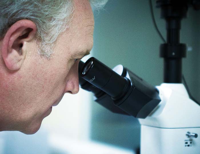 Conosciamo il mercato dei materiali per gli sport motoristici e forniamo un'eccellente assistenza tecnica.