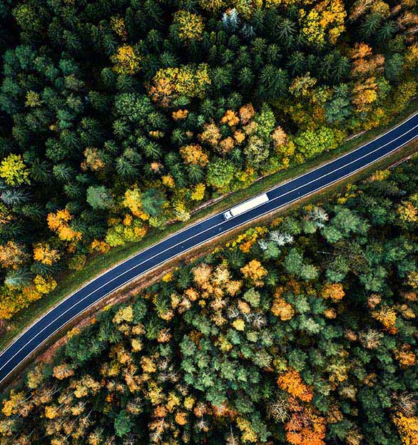 La nostra copertura globale, combinata con eccellenti servizi di supply chain, garantisce un supporto completo alla vostra attività.