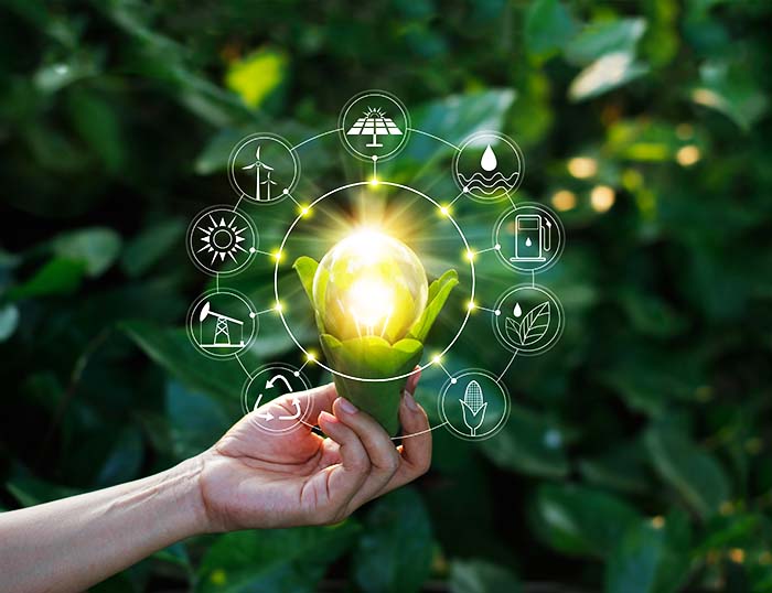 La nostra strategia prevede un audit completo di tutta la nostra attività e delle sue pratiche operative.